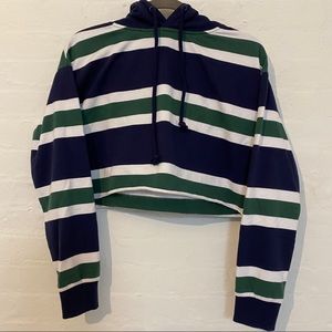 Pacsun striped cropped hoodie